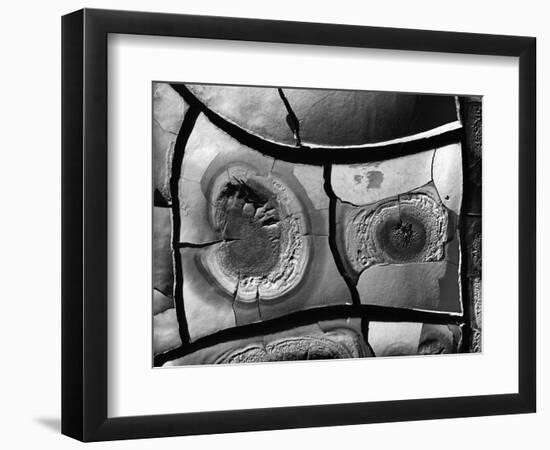 Mud Cracks, 1976-Brett Weston-Framed Photographic Print