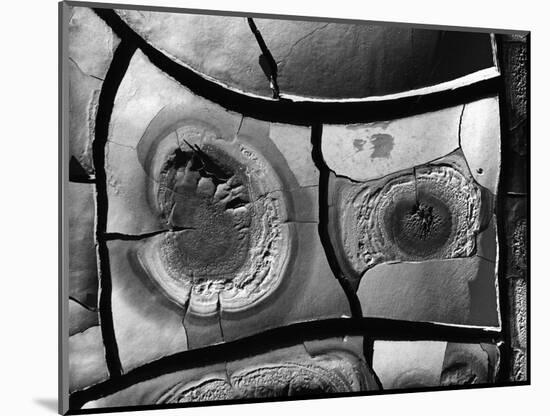 Mud Cracks, 1976-Brett Weston-Mounted Photographic Print