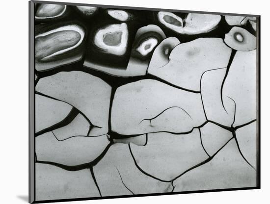 Mud Cracks, c. 1970-Brett Weston-Mounted Photographic Print