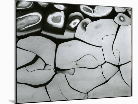 Mud Cracks, c. 1970-Brett Weston-Mounted Premium Photographic Print