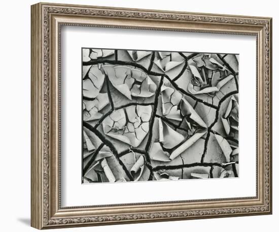 Mud Cracks, Garrapata , 1955-Brett Weston-Framed Photographic Print