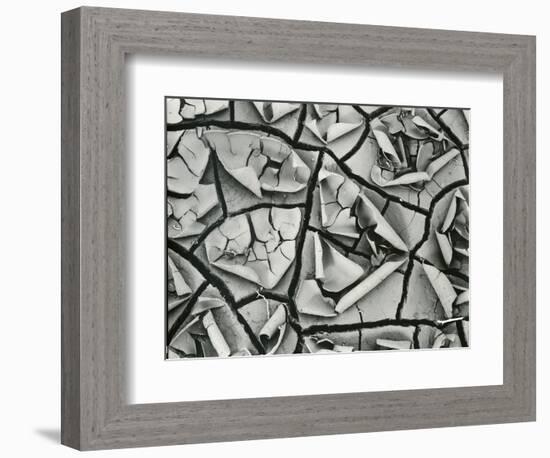 Mud Cracks, Garrapata , 1955-Brett Weston-Framed Photographic Print