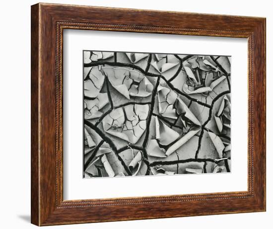 Mud Cracks, Garrapata , 1955-Brett Weston-Framed Photographic Print