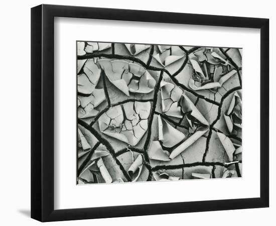 Mud Cracks, Garrapata , 1955-Brett Weston-Framed Photographic Print