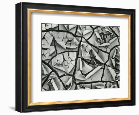 Mud Cracks, Garrapata , 1955-Brett Weston-Framed Photographic Print