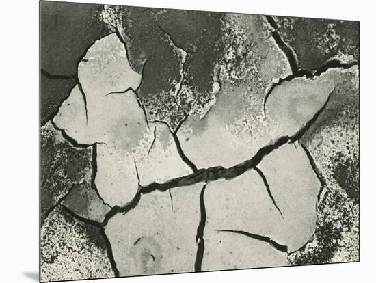 Mud Cracks, Salinas Valley, California, 1955-Brett Weston-Mounted Premium Photographic Print