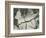 Mud Cracks, Salinas Valley, California, 1955-Brett Weston-Framed Photographic Print