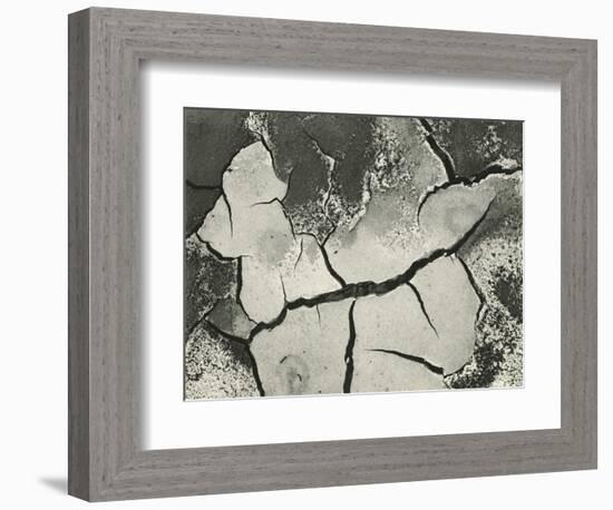 Mud Cracks, Salinas Valley, California, 1955-Brett Weston-Framed Photographic Print