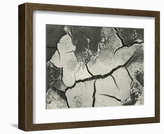 Mud Cracks, Salinas Valley, California, 1955-Brett Weston-Framed Photographic Print