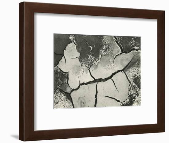 Mud Cracks, Salinas Valley, California, 1955-Brett Weston-Framed Photographic Print