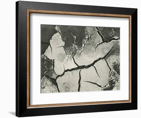 Mud Cracks, Salinas Valley, California, 1955-Brett Weston-Framed Photographic Print