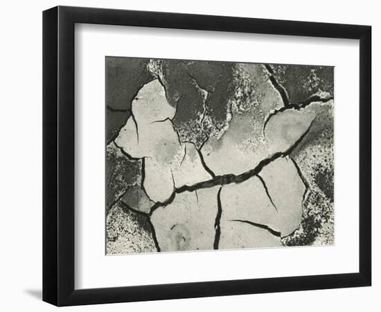 Mud Cracks, Salinas Valley, California, 1955-Brett Weston-Framed Photographic Print