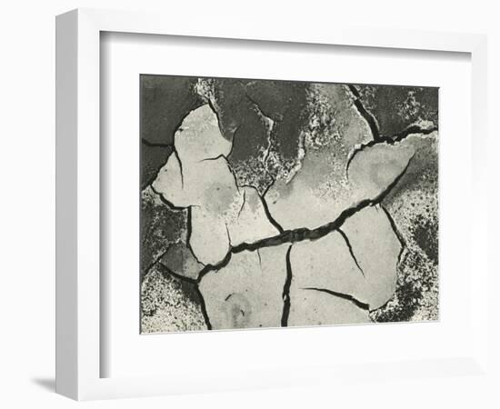 Mud Cracks, Salinas Valley, California, 1955-Brett Weston-Framed Photographic Print