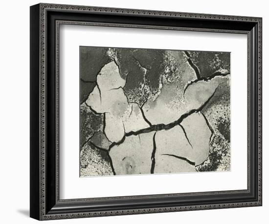 Mud Cracks, Salinas Valley, California, 1955-Brett Weston-Framed Photographic Print