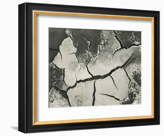 Mud Cracks, Salinas Valley, California, 1955-Brett Weston-Framed Photographic Print