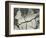 Mud Cracks, Salinas Valley, California, 1955-Brett Weston-Framed Photographic Print