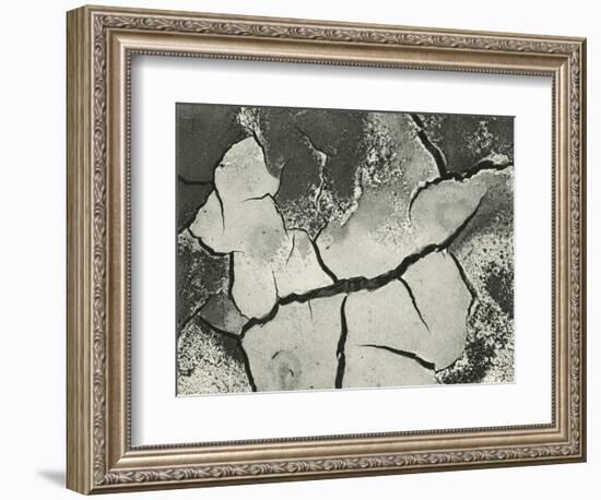 Mud Cracks, Salinas Valley, California, 1955-Brett Weston-Framed Premium Photographic Print