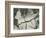 Mud Cracks, Salinas Valley, California, 1955-Brett Weston-Framed Premium Photographic Print
