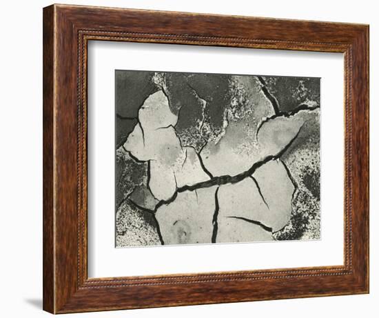 Mud Cracks, Salinas Valley, California, 1955-Brett Weston-Framed Premium Photographic Print