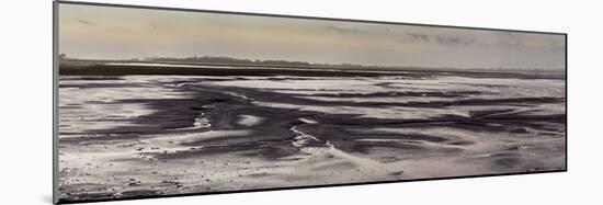 Mud flats of Pagham Harbour nature reserve are softly lit at low tide-Charles Bowman-Mounted Photographic Print