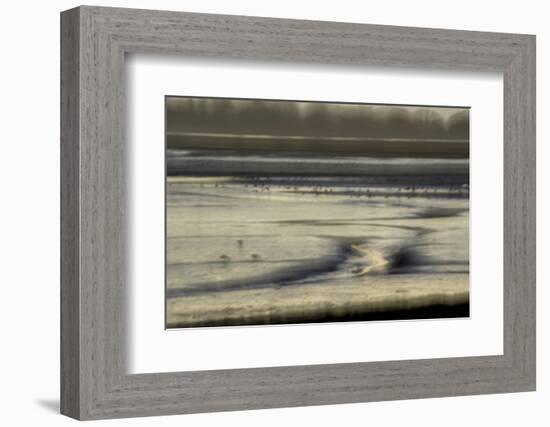 Mud flats of Pagham Harbour nature reserve are softly lit at low tide-Charles Bowman-Framed Photographic Print