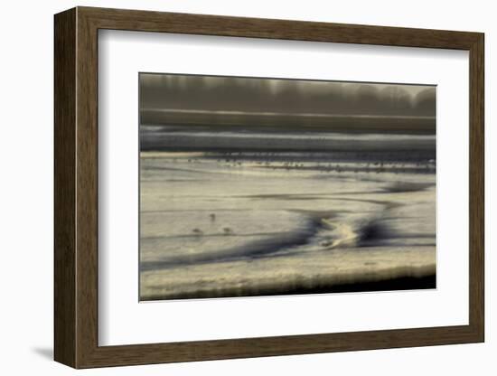 Mud flats of Pagham Harbour nature reserve are softly lit at low tide-Charles Bowman-Framed Photographic Print