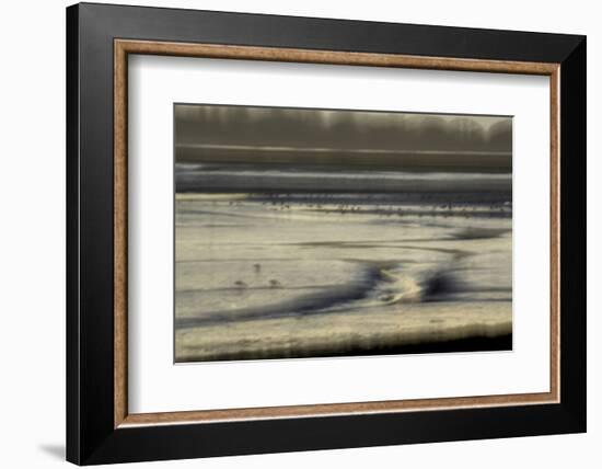 Mud flats of Pagham Harbour nature reserve are softly lit at low tide-Charles Bowman-Framed Photographic Print