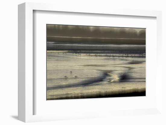 Mud flats of Pagham Harbour nature reserve are softly lit at low tide-Charles Bowman-Framed Photographic Print