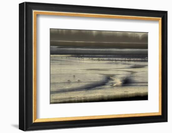 Mud flats of Pagham Harbour nature reserve are softly lit at low tide-Charles Bowman-Framed Photographic Print