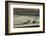 Mud flats of Pagham Harbour nature reserve are softly lit at low tide-Charles Bowman-Framed Photographic Print