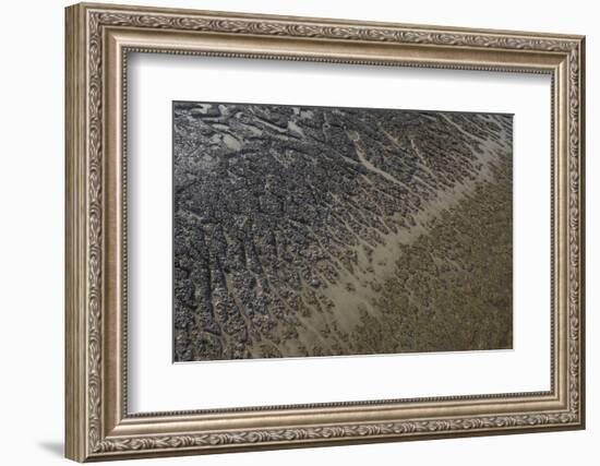 Mud Patterns on Beach. East Guyana-Pete Oxford-Framed Photographic Print