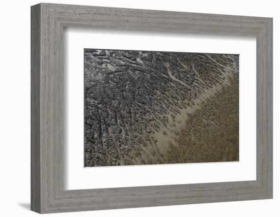 Mud Patterns on Beach. East Guyana-Pete Oxford-Framed Photographic Print