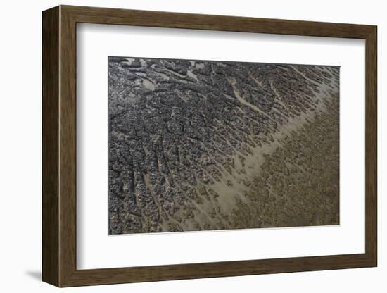 Mud Patterns on Beach. East Guyana-Pete Oxford-Framed Photographic Print