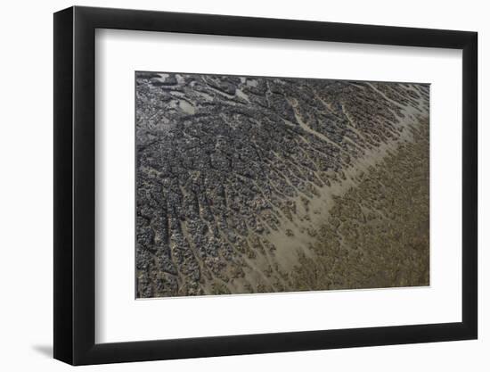 Mud Patterns on Beach. East Guyana-Pete Oxford-Framed Photographic Print