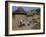 Mud Village, Huts, Mandi Region, Mali, Africa-Bruno Morandi-Framed Photographic Print