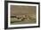 Mud village in Bamiyan Province, Afghanistan, Asia-Alex Treadway-Framed Photographic Print