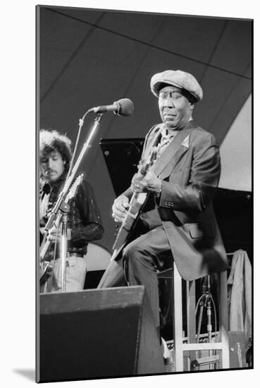 Muddy Waters, American Blues Musician, Capital Jazz, 1979-Brian O'Connor-Mounted Photographic Print