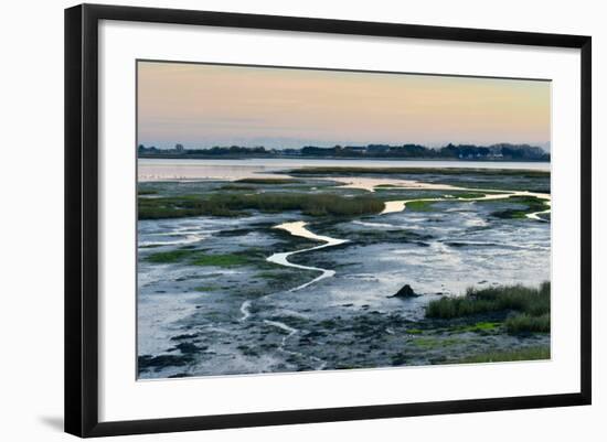 Mudflats at Langstone Harbour, Hampshire, UK-Rob Read-Framed Photographic Print