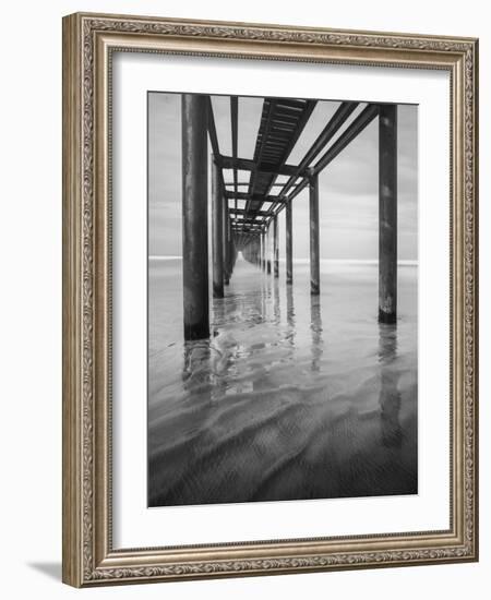 Muelle en Acapulco BW-Moises Levy-Framed Photographic Print