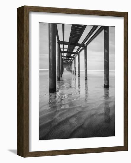 Muelle en Acapulco BW-Moises Levy-Framed Photographic Print