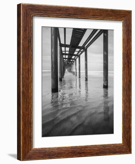 Muelle en Acapulco BW-Moises Levy-Framed Photographic Print