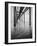 Muelle en Acapulco BW-Moises Levy-Framed Photographic Print