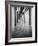 Muelle en Acapulco BW-Moises Levy-Framed Photographic Print