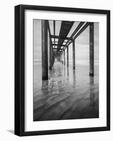 Muelle en Acapulco BW-Moises Levy-Framed Photographic Print