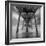 Muelle Triangular Flat-Moises Levy-Framed Photographic Print