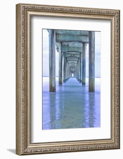 Muelle Vertical Pano-Moises Levy-Framed Photographic Print