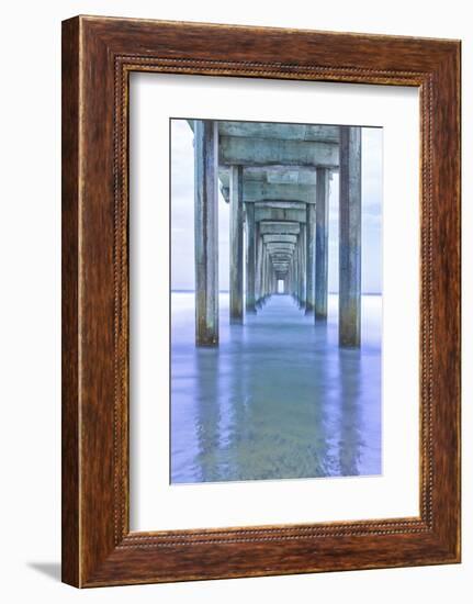 Muelle Vertical Pano-Moises Levy-Framed Photographic Print