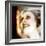 Muerte (Death) Remix-Gideon Ansell-Framed Photographic Print