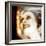 Muerte (Death) Remix-Gideon Ansell-Framed Photographic Print