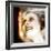 Muerte (Death) Remix-Gideon Ansell-Framed Photographic Print